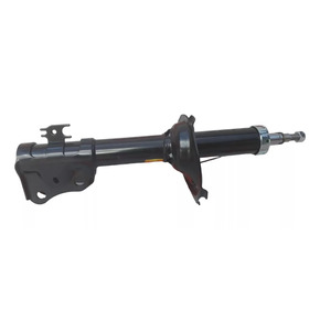 Nunc congue dui nec...