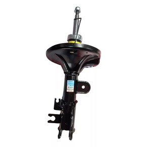 Nunc congue dui nec...