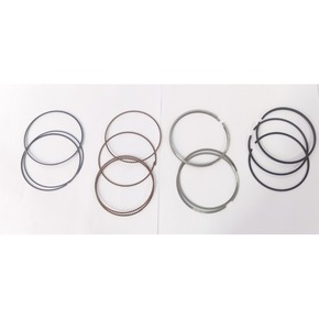 Nunc congue dui nec...