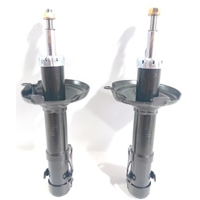 Nunc congue dui nec...