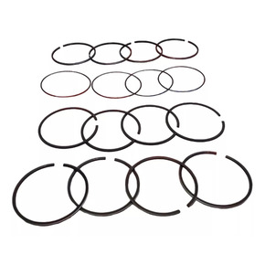 Nunc congue dui nec...