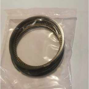 Nunc congue dui nec...